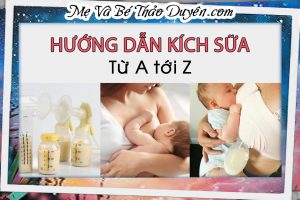 Bài 4: Cơ Chế Tạo Sữa – Tiết Sữa